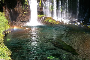 20090925p1.jpg