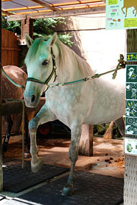20090925p2.jpg