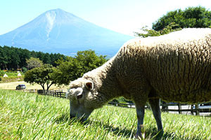 20090925p3.jpg