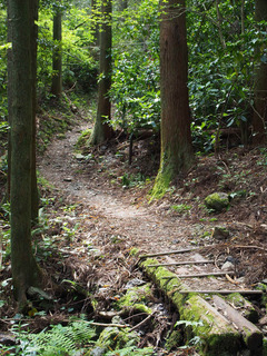 20170505p2.jpg