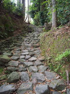 20170505p4.jpg