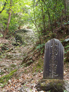 20170505p5.jpg