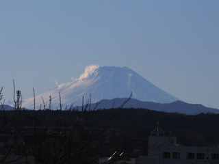 p1.jpg
